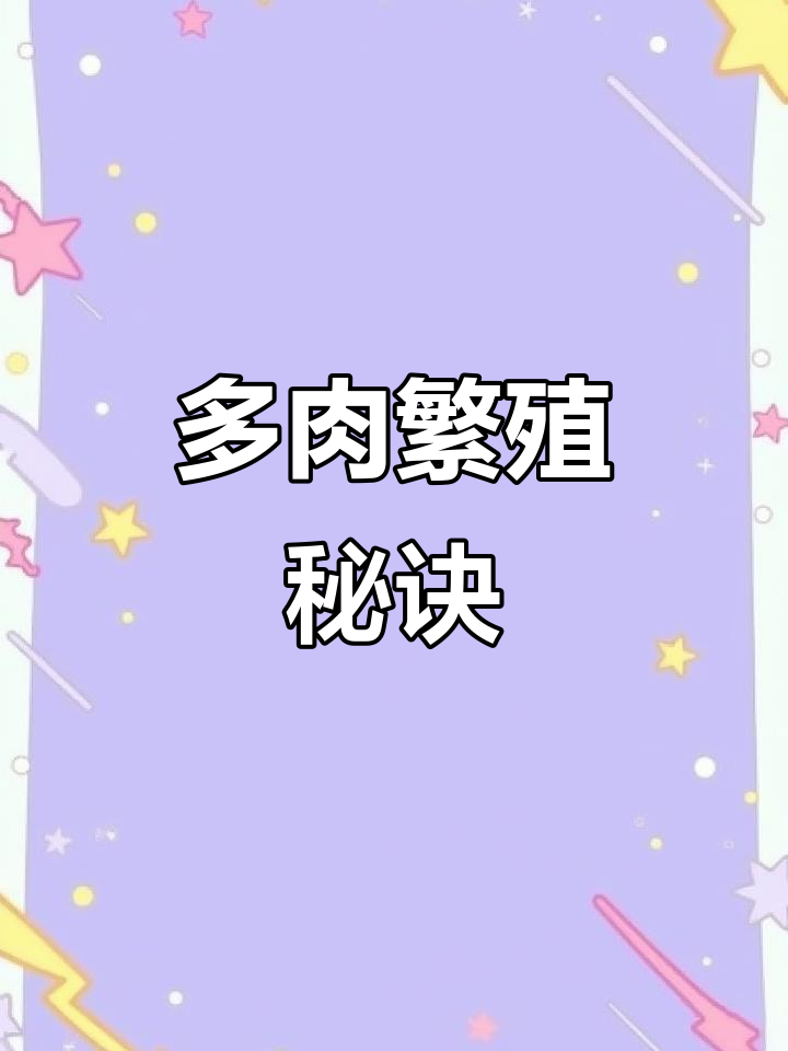 春天来临,轻松扦插钱串多肉,让它们茁壮成长!