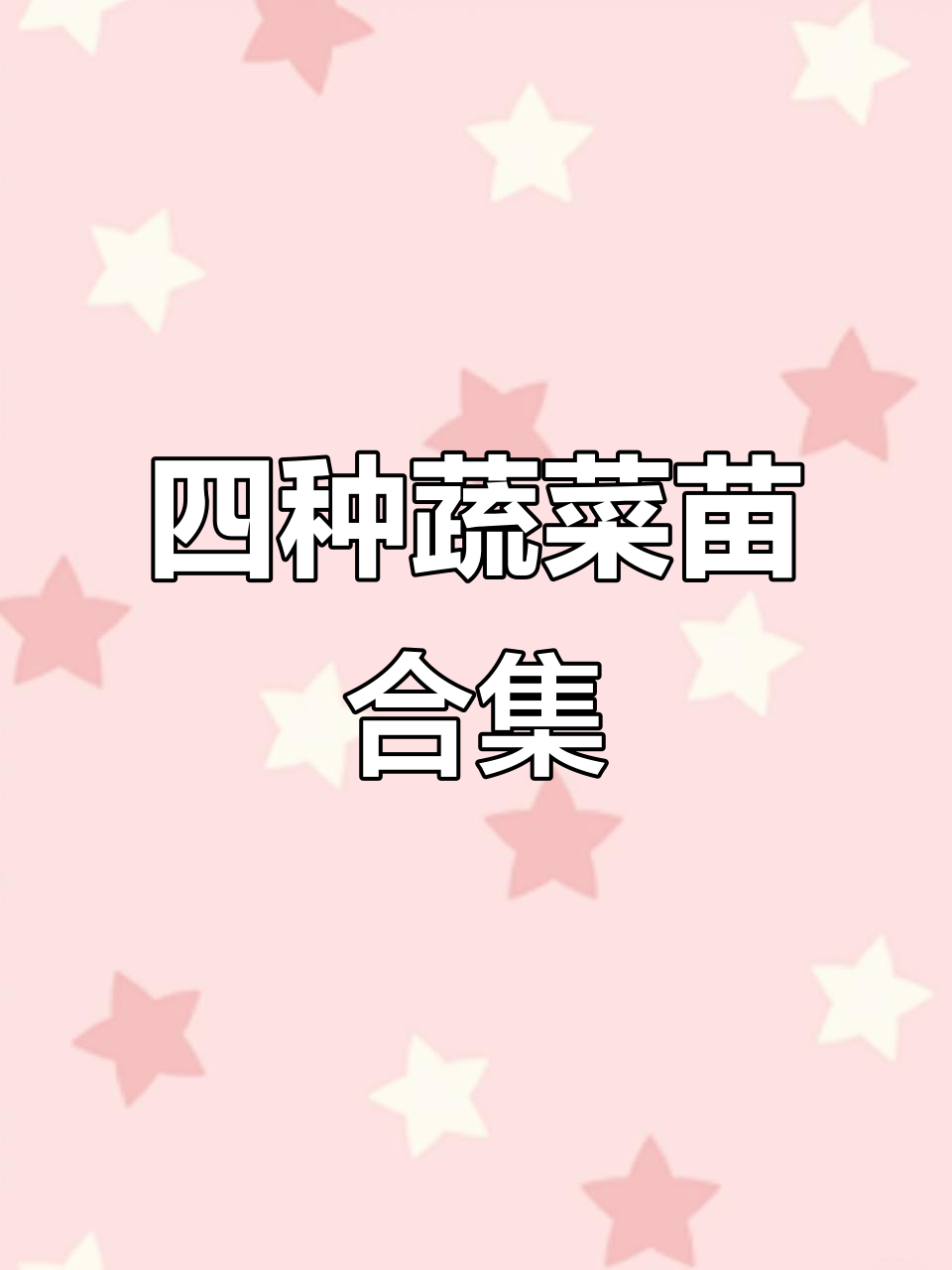 生菜苗、黄心菜苗、青笋苗与甘蓝苗,四种蔬菜一起看!