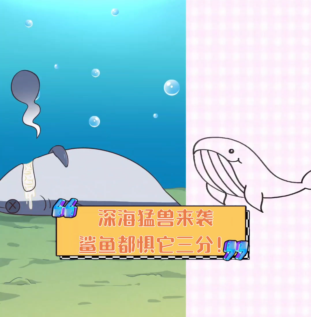 深海猛兽来袭,鲨鱼都惧它三分!