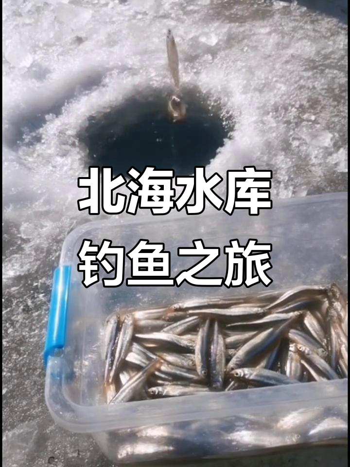沁县北海水库钓公鱼,连杆不断乐趣多