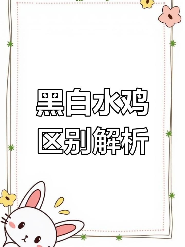 白骨顶鸡与红骨鼎鸡:黑色水鸡的差异揭秘