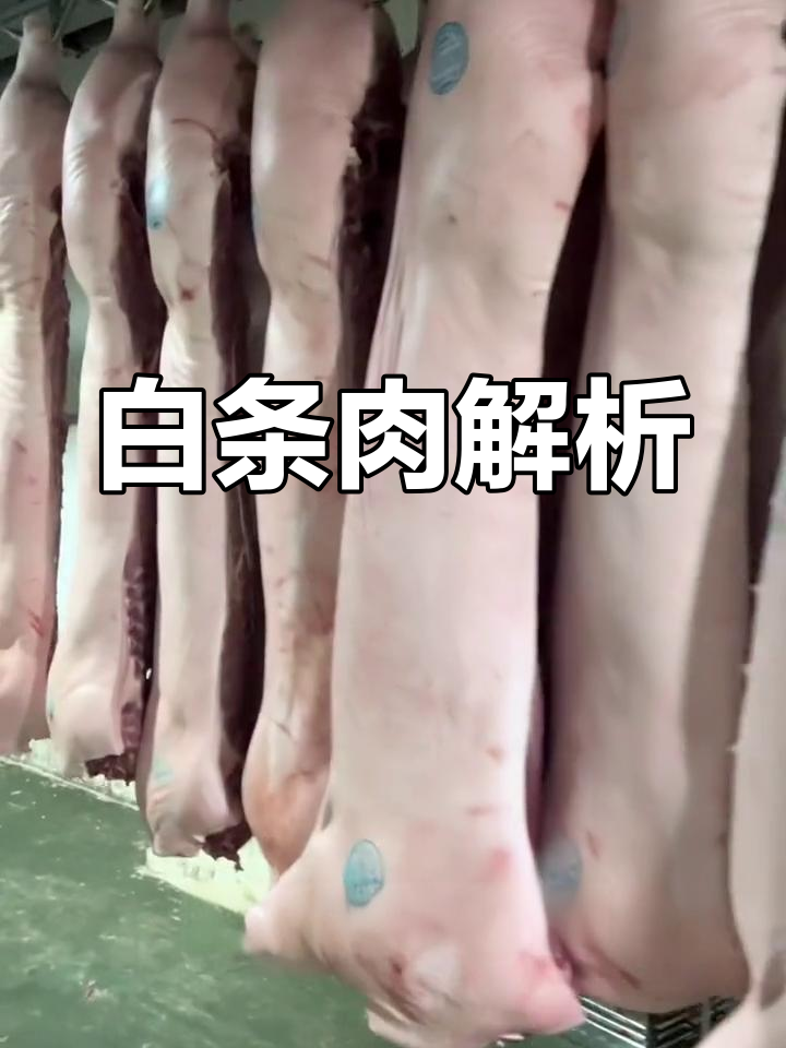 猪白条是什么?了解猪肉价格与品质