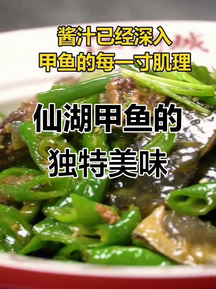 郴州仙湖甲鱼,青椒味十足!每一口都让人停不下来