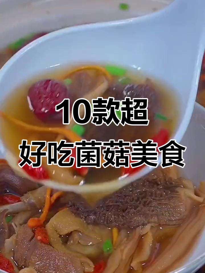 十种菌菇做法,简单又美味,学会这些汤菜更诱人