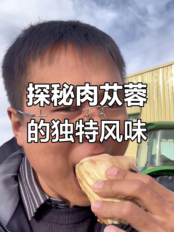 荒漠中的“沙漠黄金”——肉苁蓉,口感超乎想象