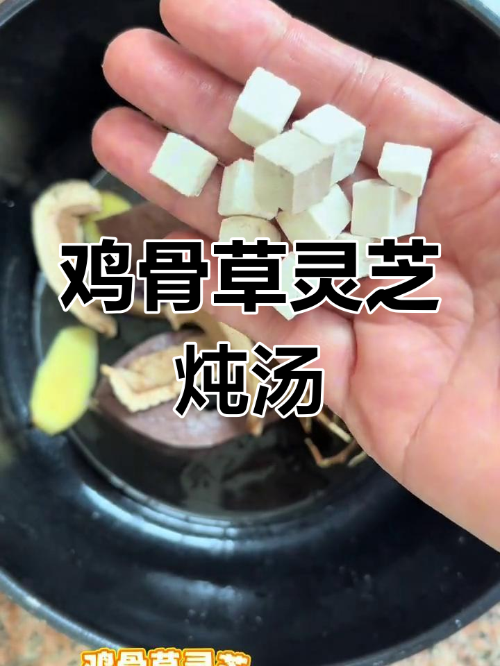 广东靓汤:鸡骨草灵芝煲,滋补又美味