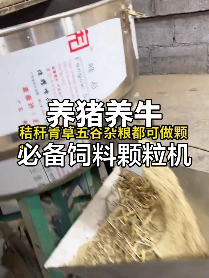 饲料颗粒机助力养殖降本增效,干湿两用机型任你选