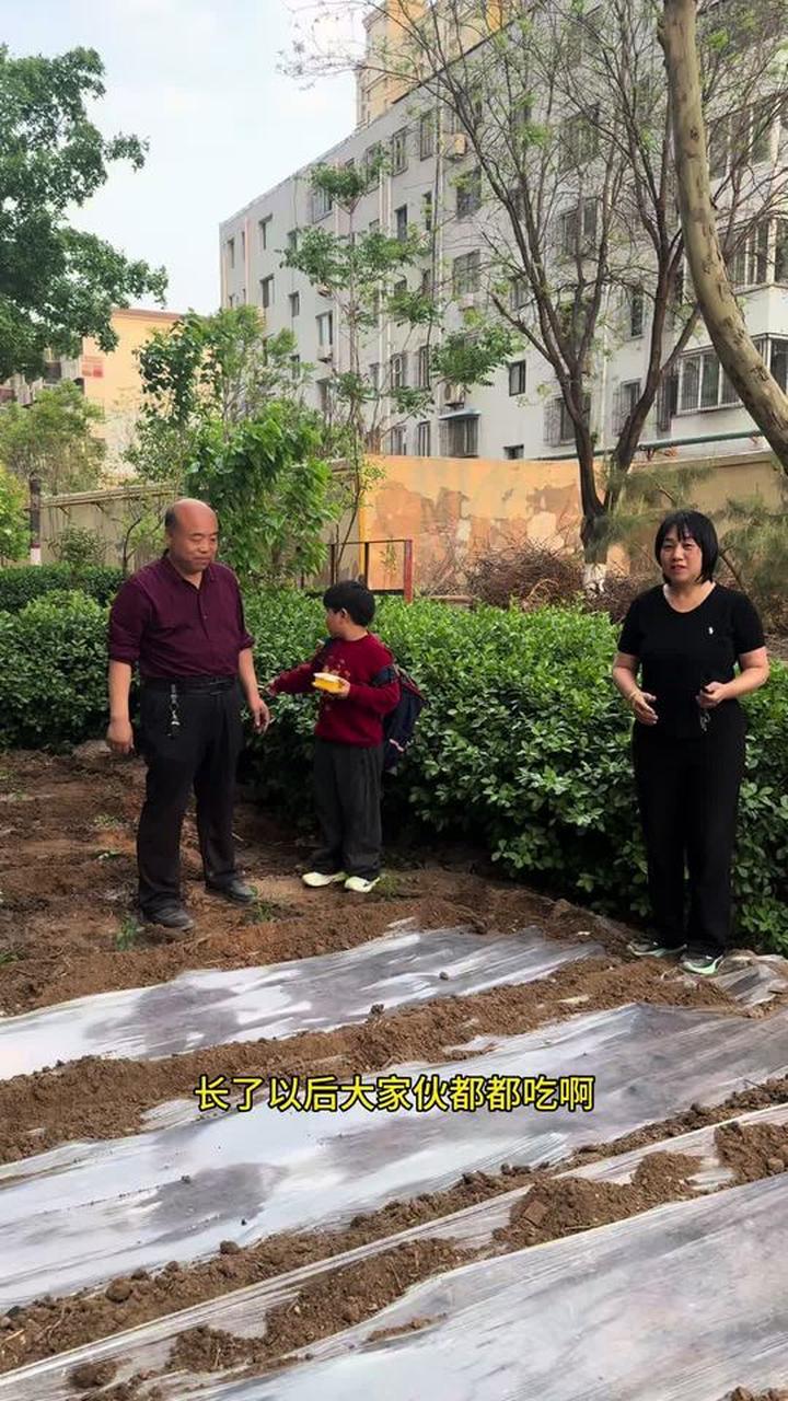 瓜果蔬菜都种好啦，成熟喊大家来吃