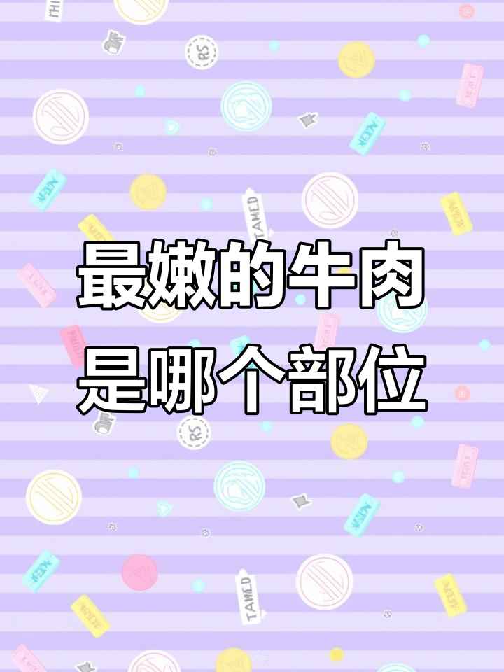 牛肉哪个部位最嫩?黄瓜条还是雪花肉,炒炖都好吃
