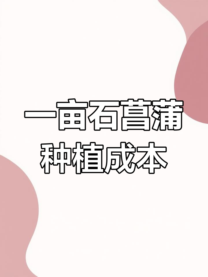 石菖蒲种植成本与利润分析:一亩投资多少,收益如何?