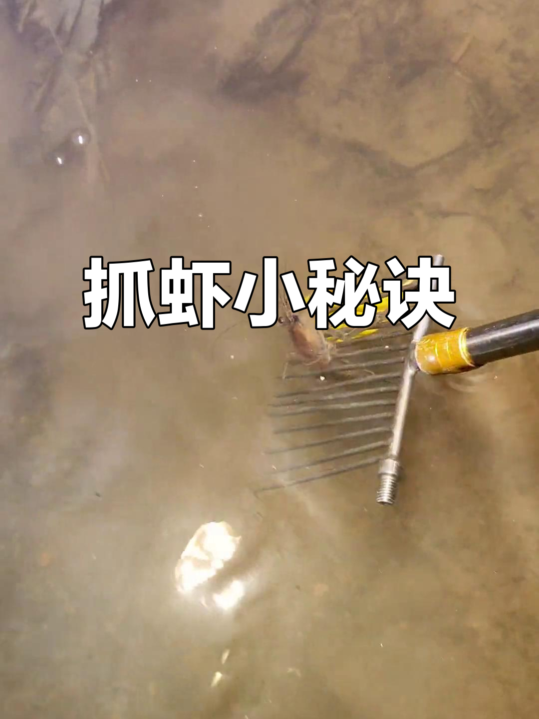 教你轻松捕虾,瞄准发射,技巧全在这!