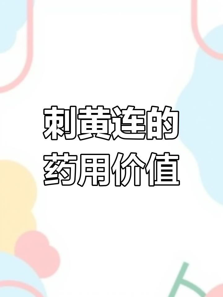 三颗针刺黄连:苦涩却有奇效,生长在向阳山坡