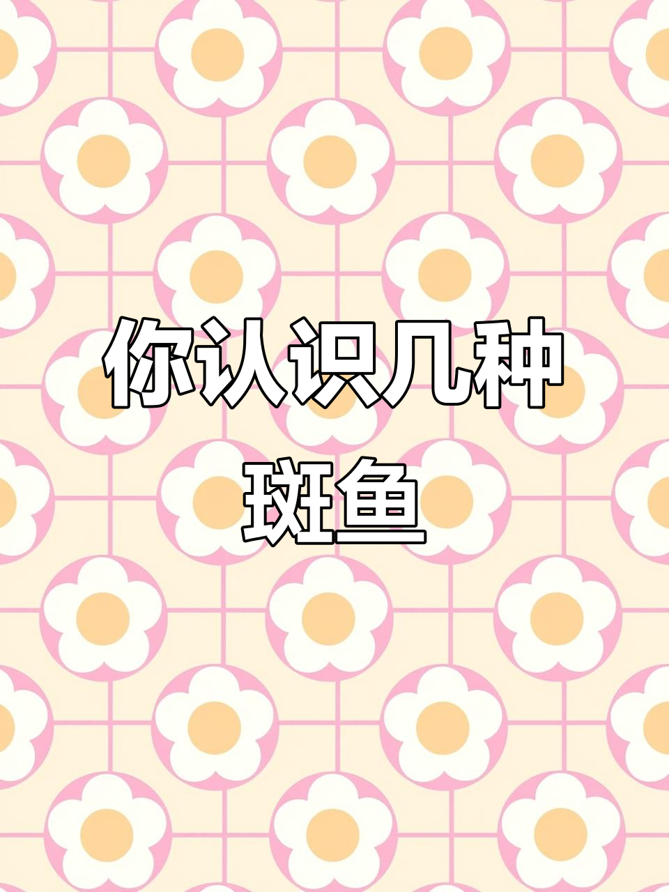 斑鱼种类大揭秘,这些你都知道吗?
