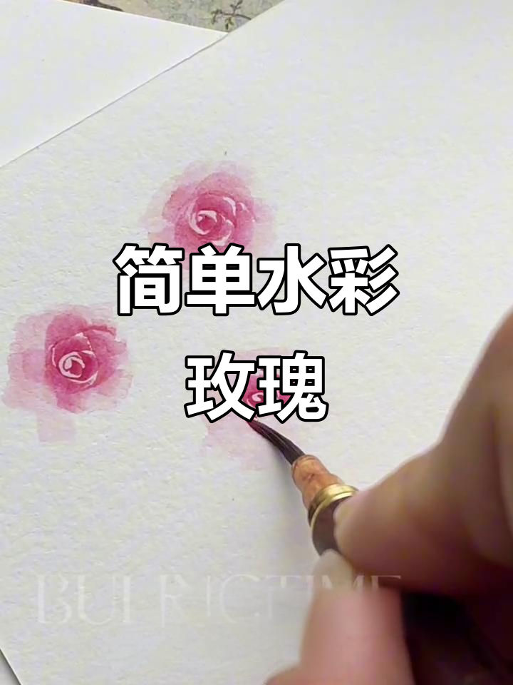 水彩玫瑰花教程,零基础轻松学会