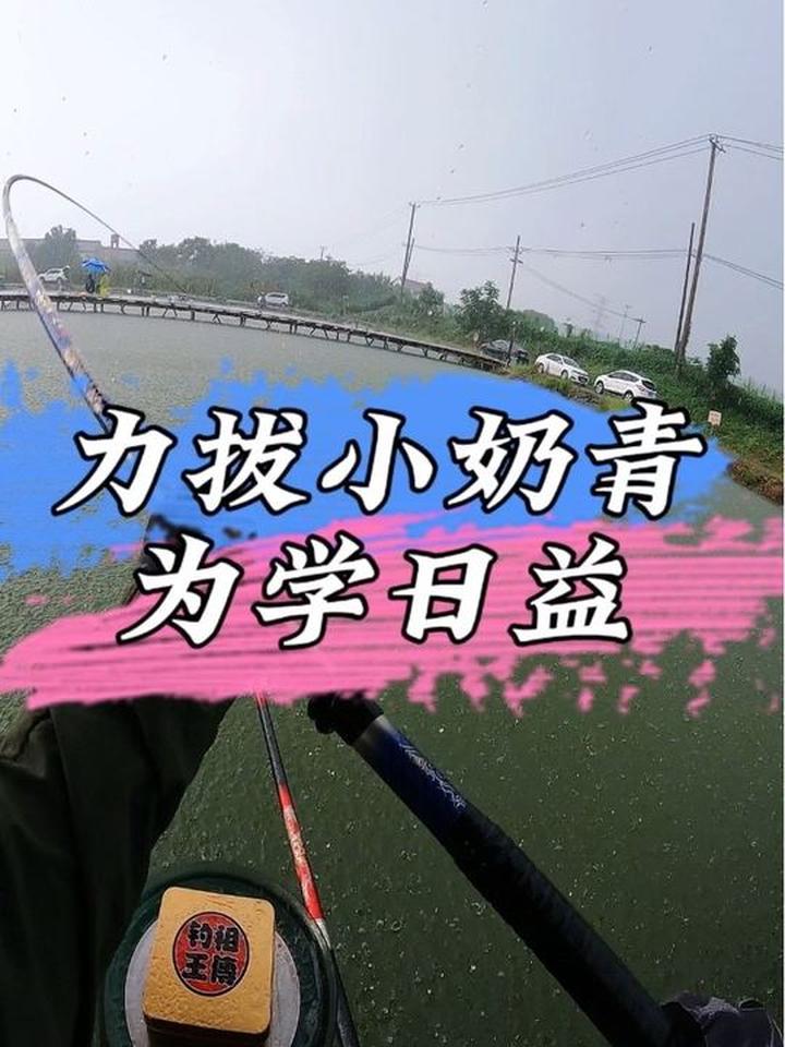 打无铅钓青鱼的两招精髓技巧