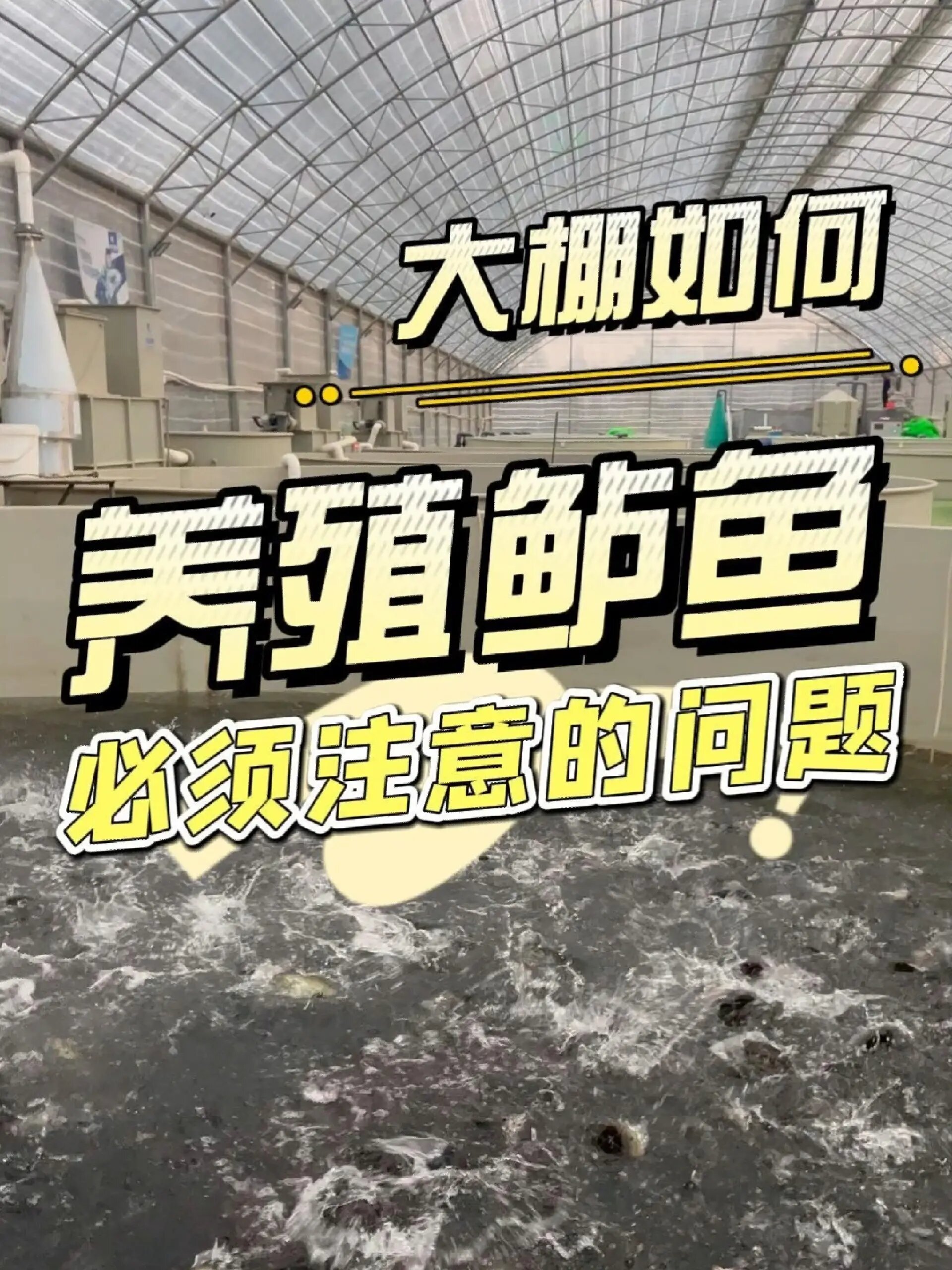 养殖加州鲈鱼一定要注意这些问题