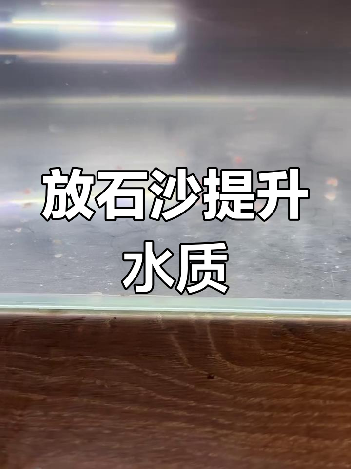 鱼缸放石头沙子,水质更清澈的秘密