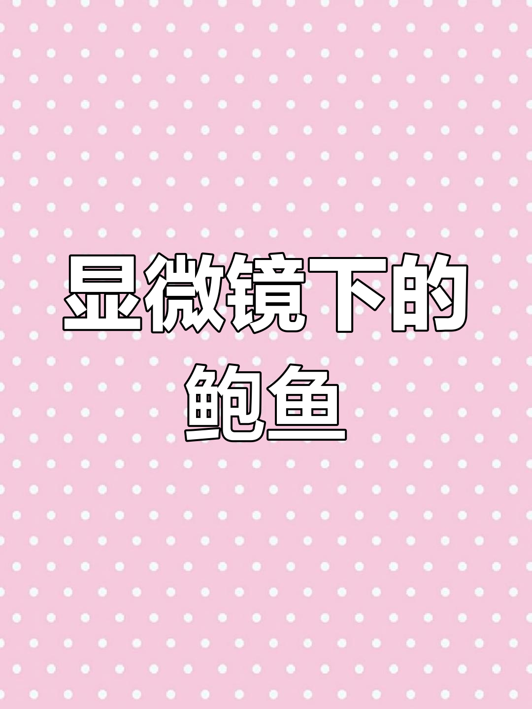 400倍显微镜下,鲍鱼竟然长这样!
