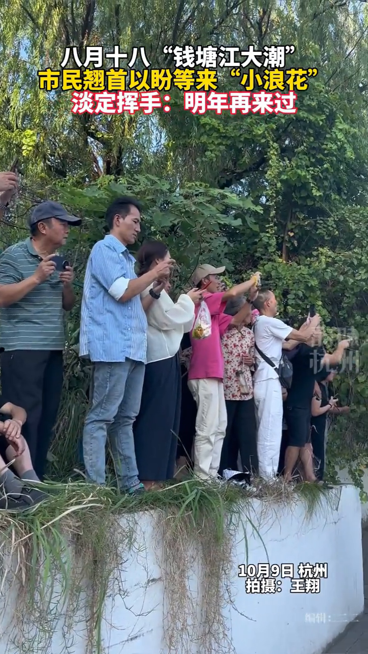 你今天看到钱塘江大潮了吗?市民对着“小浪花”淡定挥手