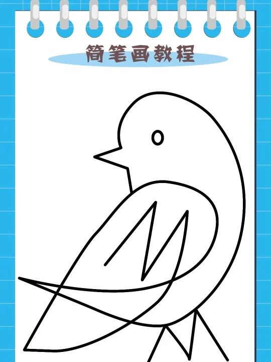 一笔画小鸟