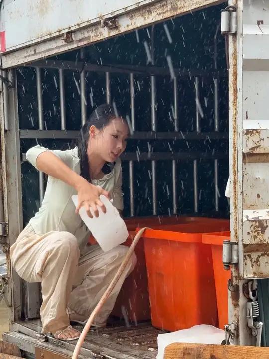 黄鳝属于鱼类,为什么不能走绿通