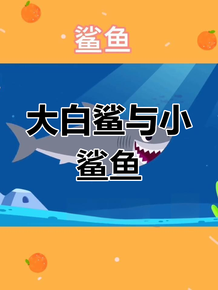 鲨鱼家族大集合,探索海洋奥秘