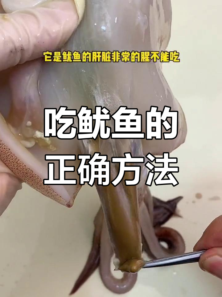 鱿鱼哪些部位能吃?揭秘海鲜吃法