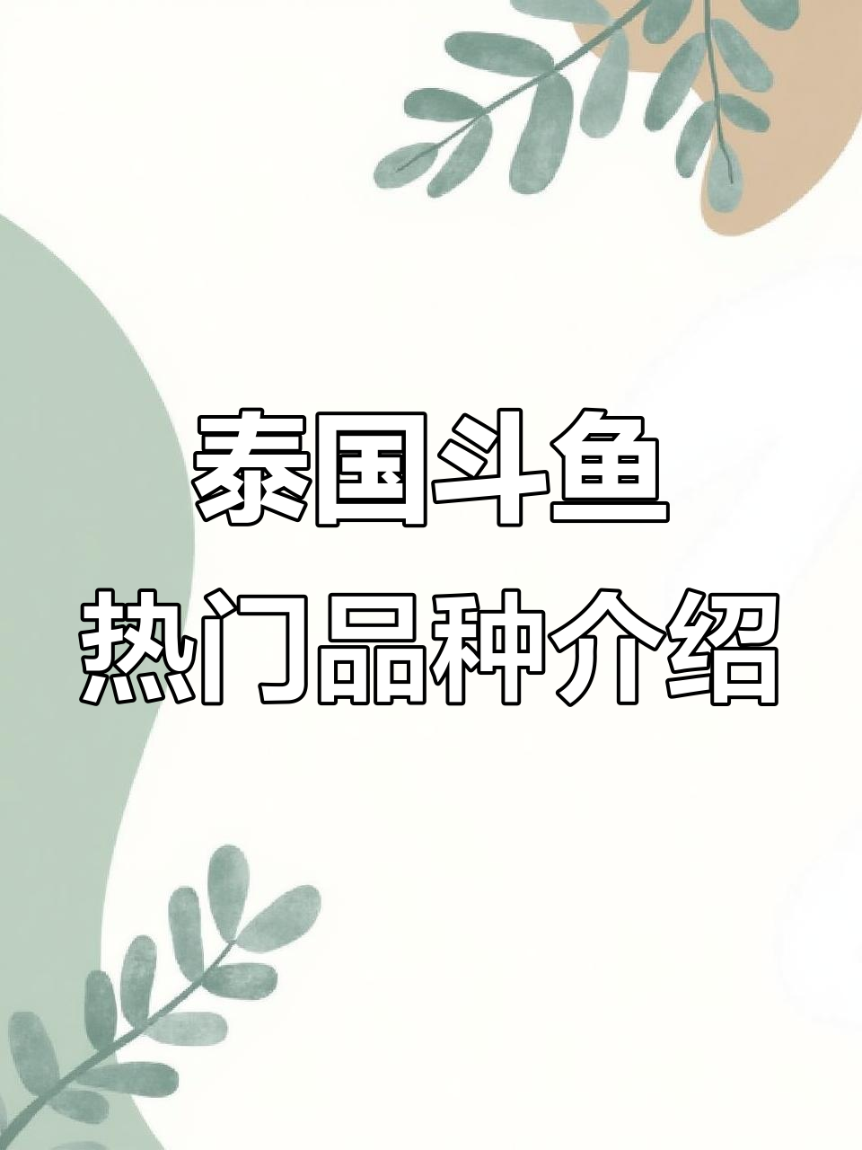 泰国斗鱼品种大揭秘:雀斑双尾、粉蝶大耳半月等全解析