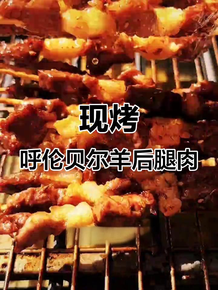 呼伦贝尔草原羊肉串,现穿纯肉无添加