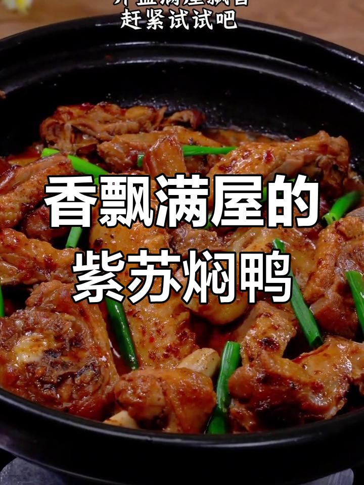 紫苏焖鸭,香气扑鼻,大排档经典味道