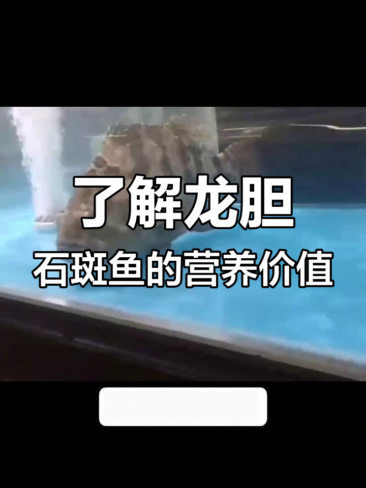 龙胆石斑鱼:蛋白质丰富,美容护肤的秘密武器