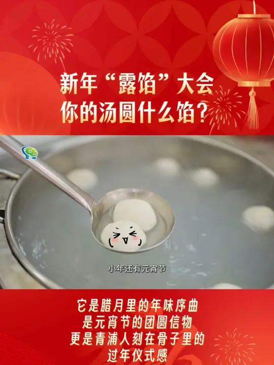 新年“露馅”大会：你的汤圆什么馅？｜寻味青浦