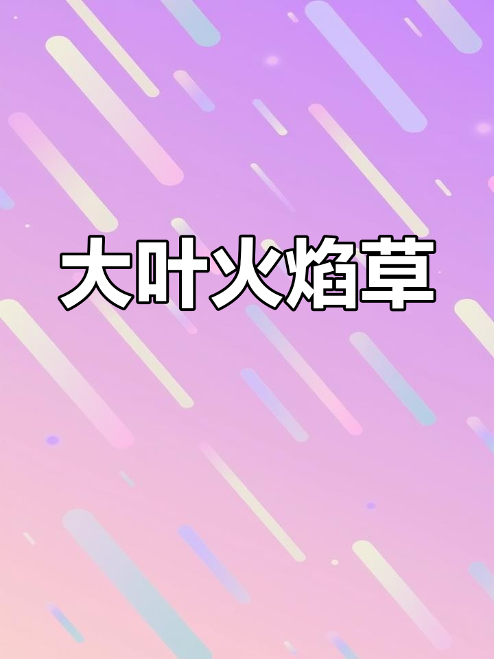 火焰草:一年生草本植物,景天科多肉植物的独特魅力