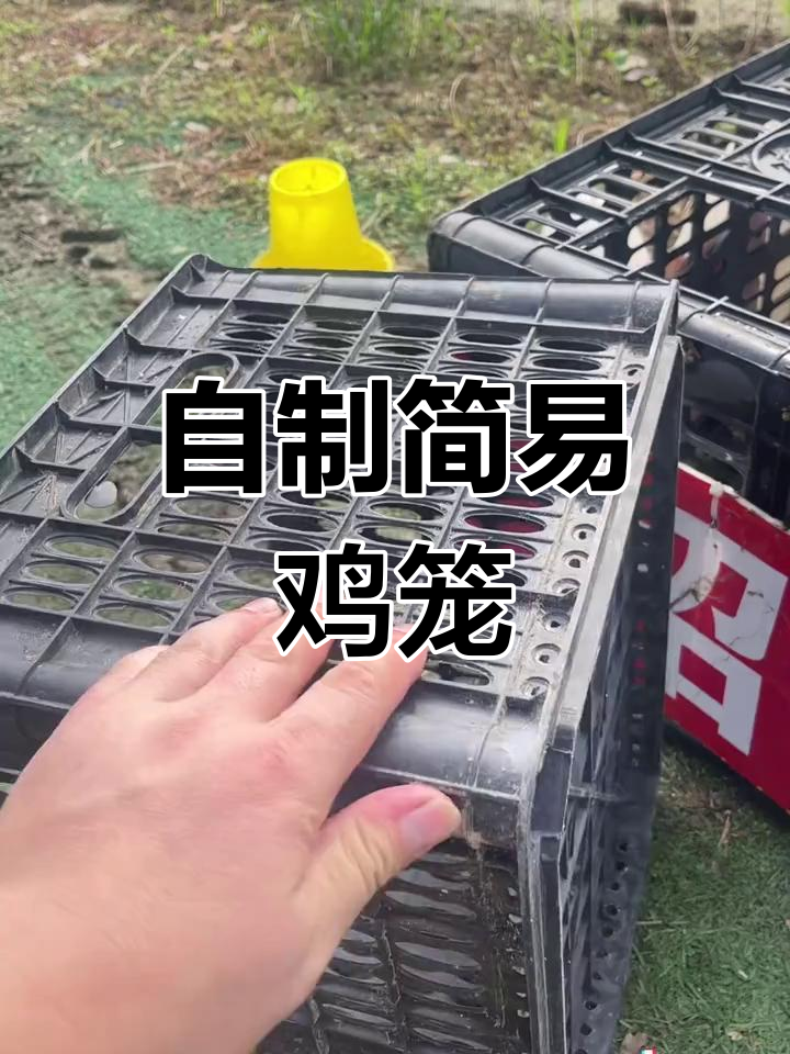 废旧框子变鸡笼,轻松DIY制作
