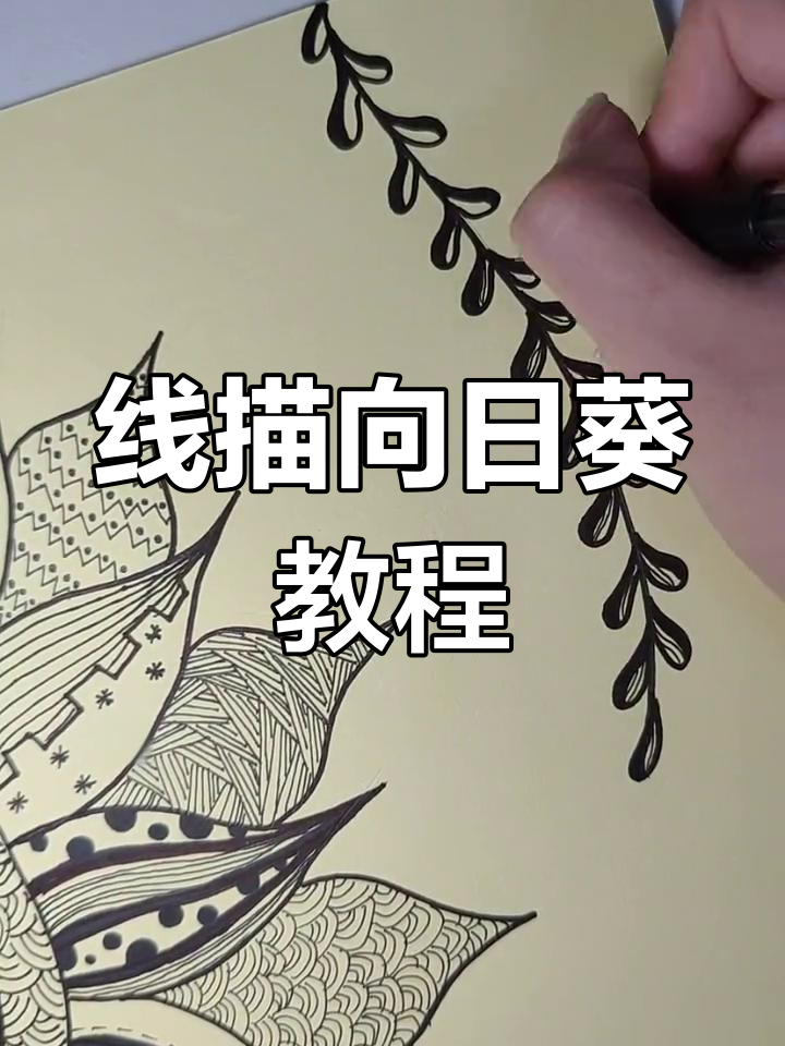 向日葵线描画,轻松学会创意美术