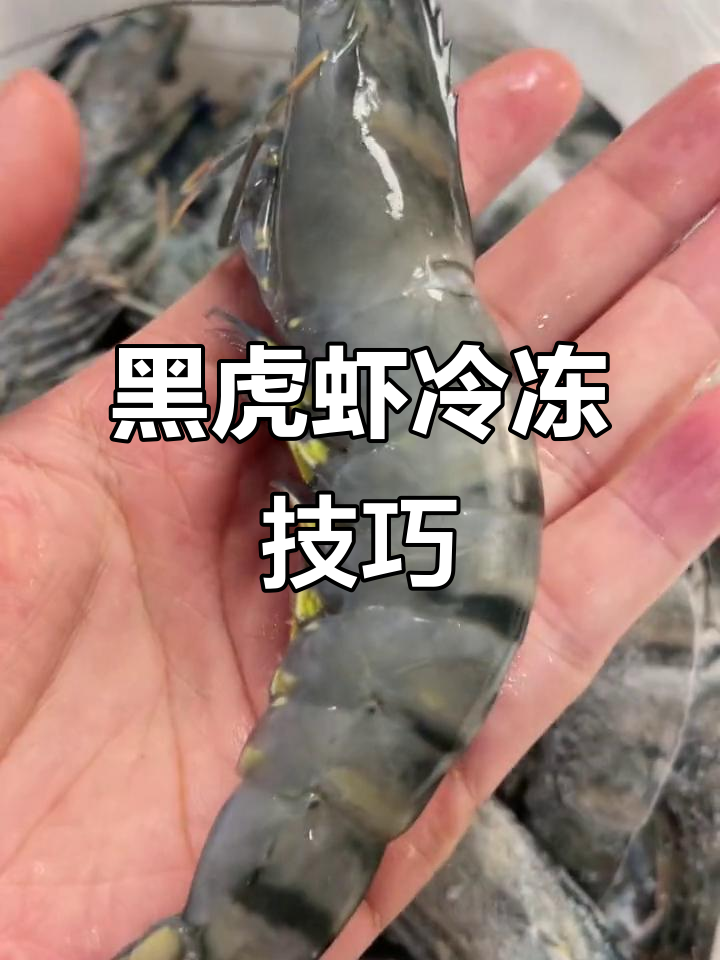 黑虎虾新鲜度大揭秘:活冻与生冻的区别,营养价值高