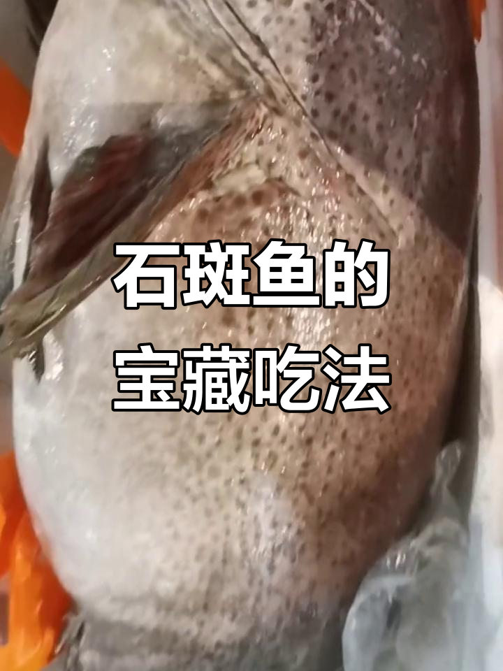 深海大货石斑鱼,全身都是宝!火锅酸菜汤样样行