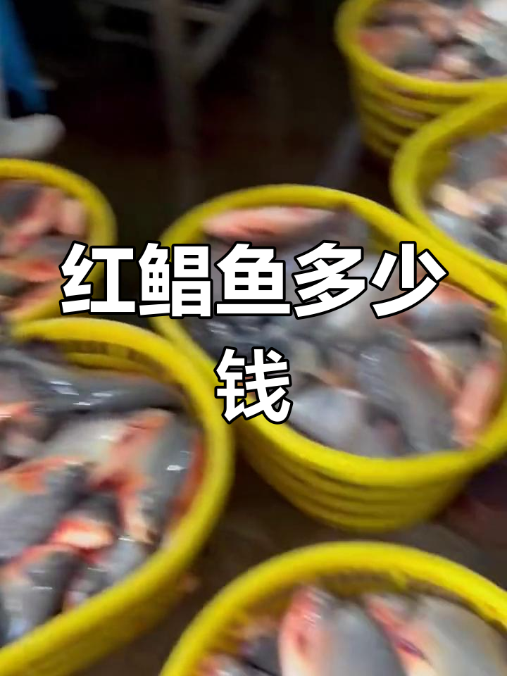 红鲳鱼价格波动大,一斤多少钱?