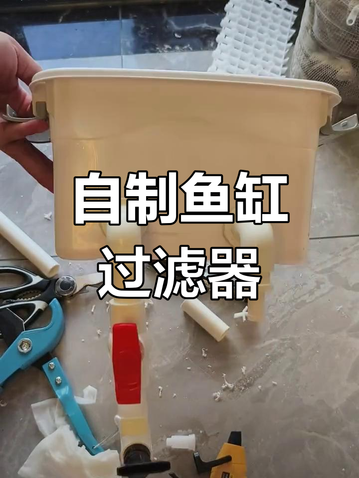 超低成本自制鱼缸过滤系统,轻松打造完美水族环境