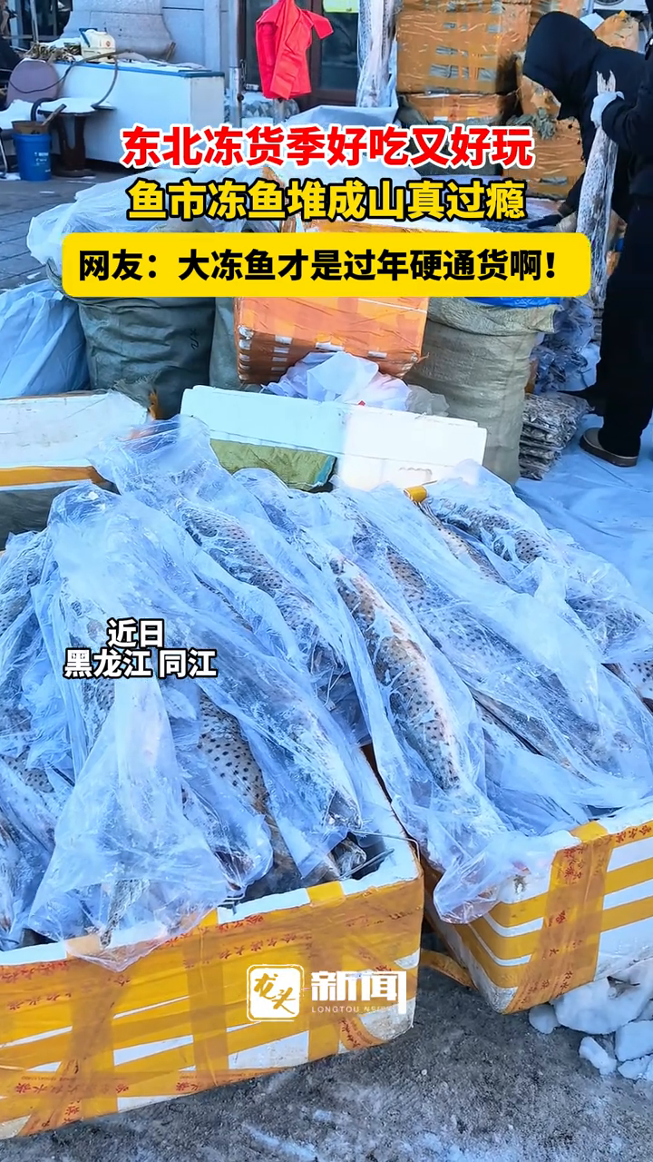 东北冻货季好吃又好玩 鱼市冻鱼堆成山真过瘾