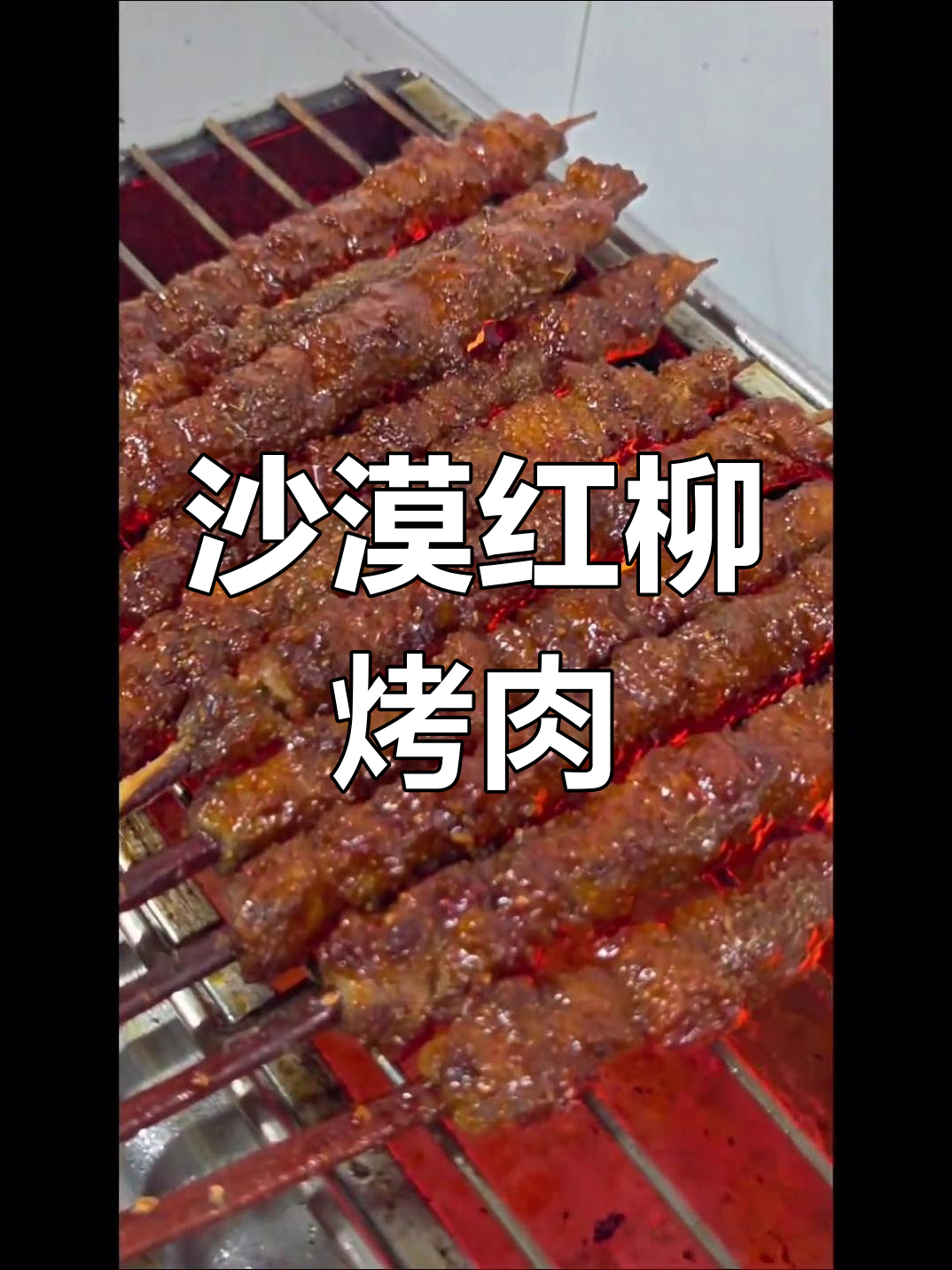 红柳枝烤羊肉串,甘肃风味大揭秘!