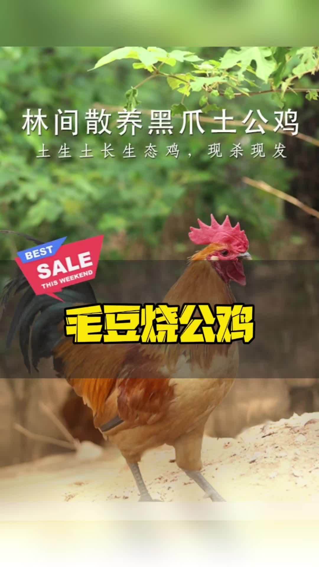 上热门 烈日炎炎似火烧,如果你问我夏天什么菜最好吃?我一定推荐毛豆烧土公鸡,QQ弹弹,鸡肉