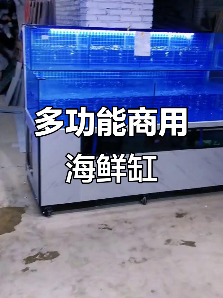 移动式海鲜鱼缸，定制多层设计，酒店饭店必备