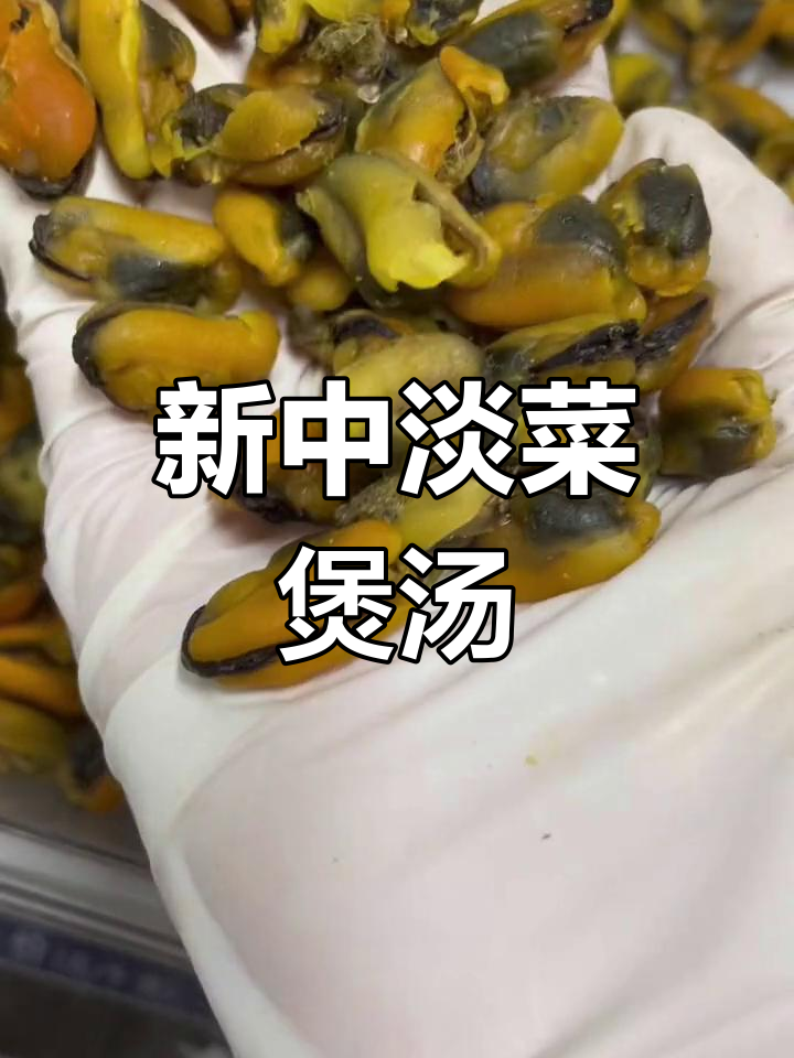 中淡菜新货到,煲汤焖猪蹄,美味又营养