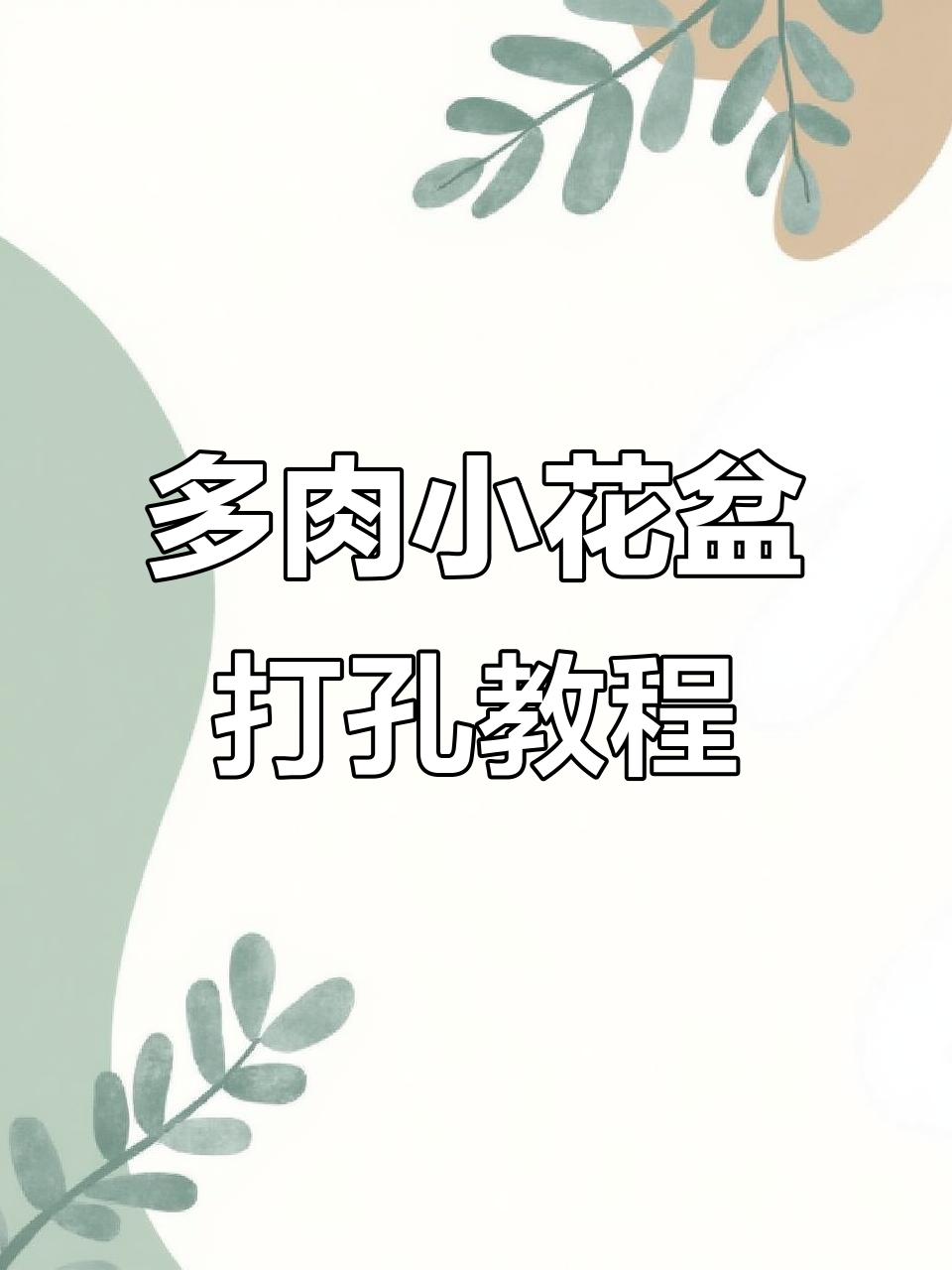 自制多肉花盆打孔技巧,轻松搞定不碎