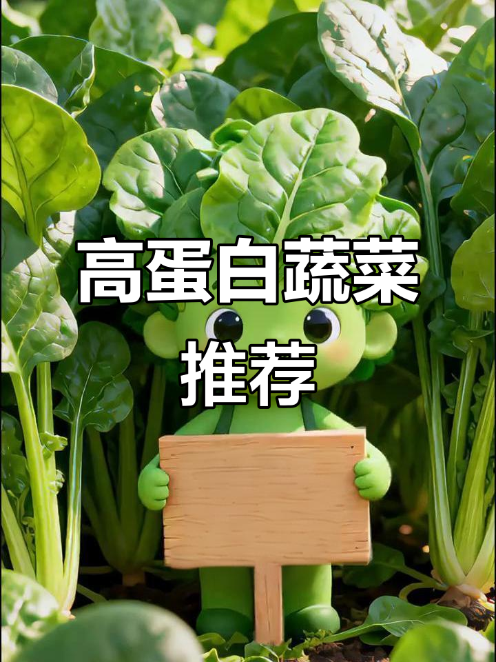 这5种蔬菜蛋白质丰富,搭配肉类更营养!