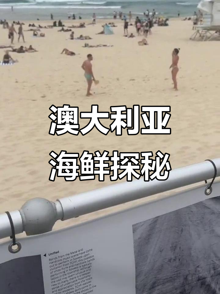 澳洲海鲜大揭秘:老虎虾、帝王蟹与神秘母螃蟹