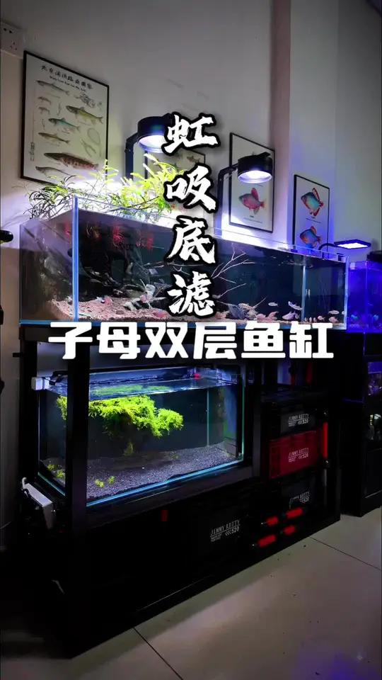 自己搓双层鱼缸,共用一套周转箱底过滤,开缸一个月咯,这个应该算得上空气缸吧 鱼缸造景干货大