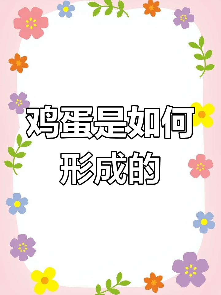 母鸡如何形成鸡蛋?揭秘输卵管中的奇妙旅程