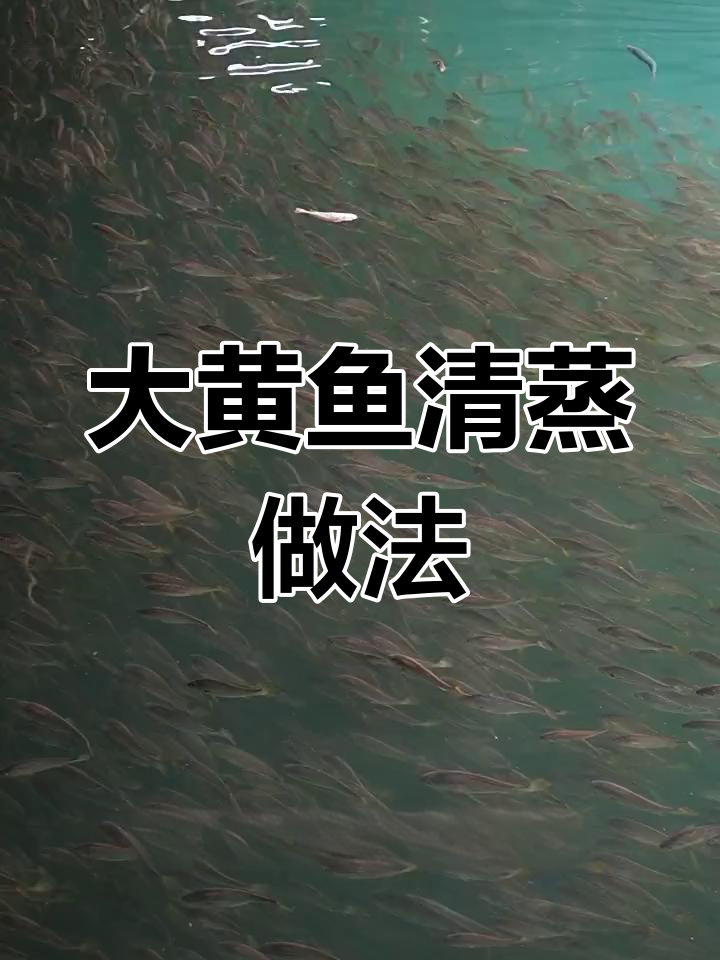 深海大黄鱼蒸法,简单又美味